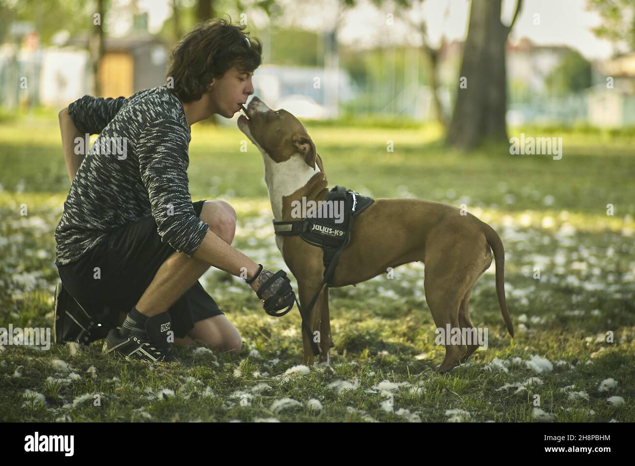 Simolo De L Amour Entre L Homme Et Le Chien Photo Stock Alamy