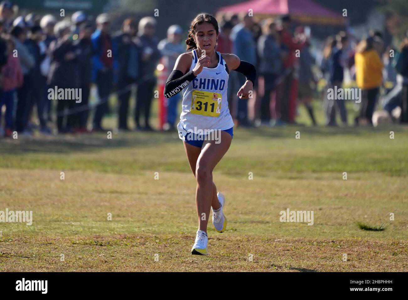 Mia Chavez (311) de Chino-SS se classe quatrième dans la course de division 3 filles lors des Championnats de cross-country de l'État CIF à Woodward Park, samedi 27 novembre 2021, à Fresno, Etalonnage Banque D'Images