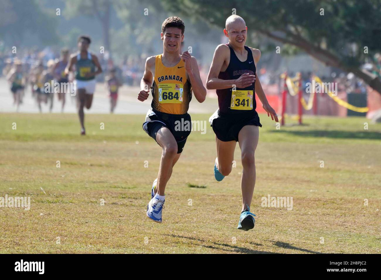 Roland Ruckmann-Barnes (684) de Granada-NCS et Chris Coles (341) de Claremont-SS se classent deuxième et troisième dans la course de Division 2 garçons en 15:22,9 et 15:23,2 lors des Championnats de cross-country de la CIF à Woodward Park, samedi 27 novembre 2021, à Fresno, Etalonnage Banque D'Images