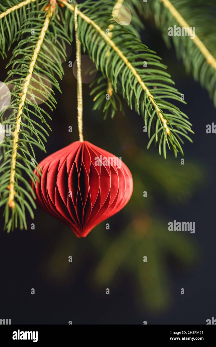 Décoration en papier nid d'abeille rouge de Noël sur branche de sapin. Banque D'Images