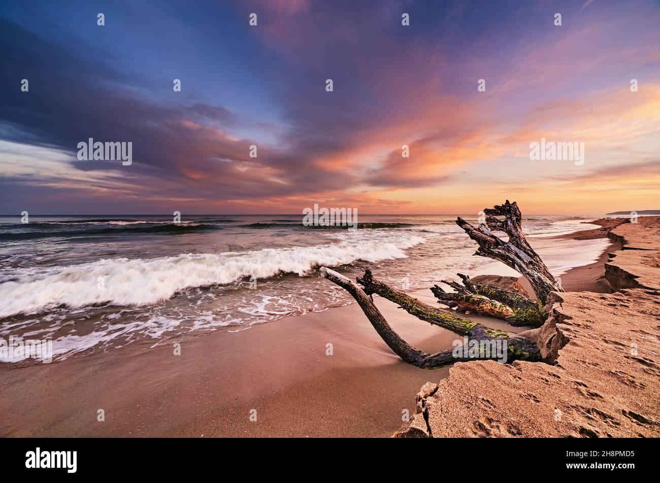 Coucher de soleil coloré sur la mer Noire, plage de Kamchia, Bulgarie Banque D'Images