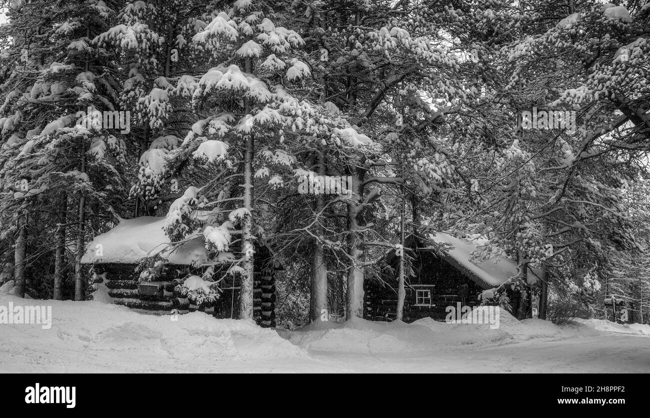 Voyager dans les Rocheuses canadiennes dans la neige, la pluie, le soleil, la pluie, la randonnée et la raquette. Banque D'Images