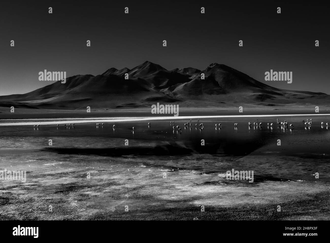 Conversion noir et blanc de la Laguna Colorada en Bolivie Banque D'Images