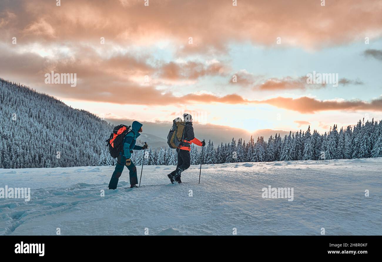 Deux randonneurs vêtus de vêtements de sport d'hiver chauds avec des sacs à dos de randonnée marchent avec des bâtons de randonnée dans les montagnes de pins enneigées dans un incroyable coucher de soleil Banque D'Images