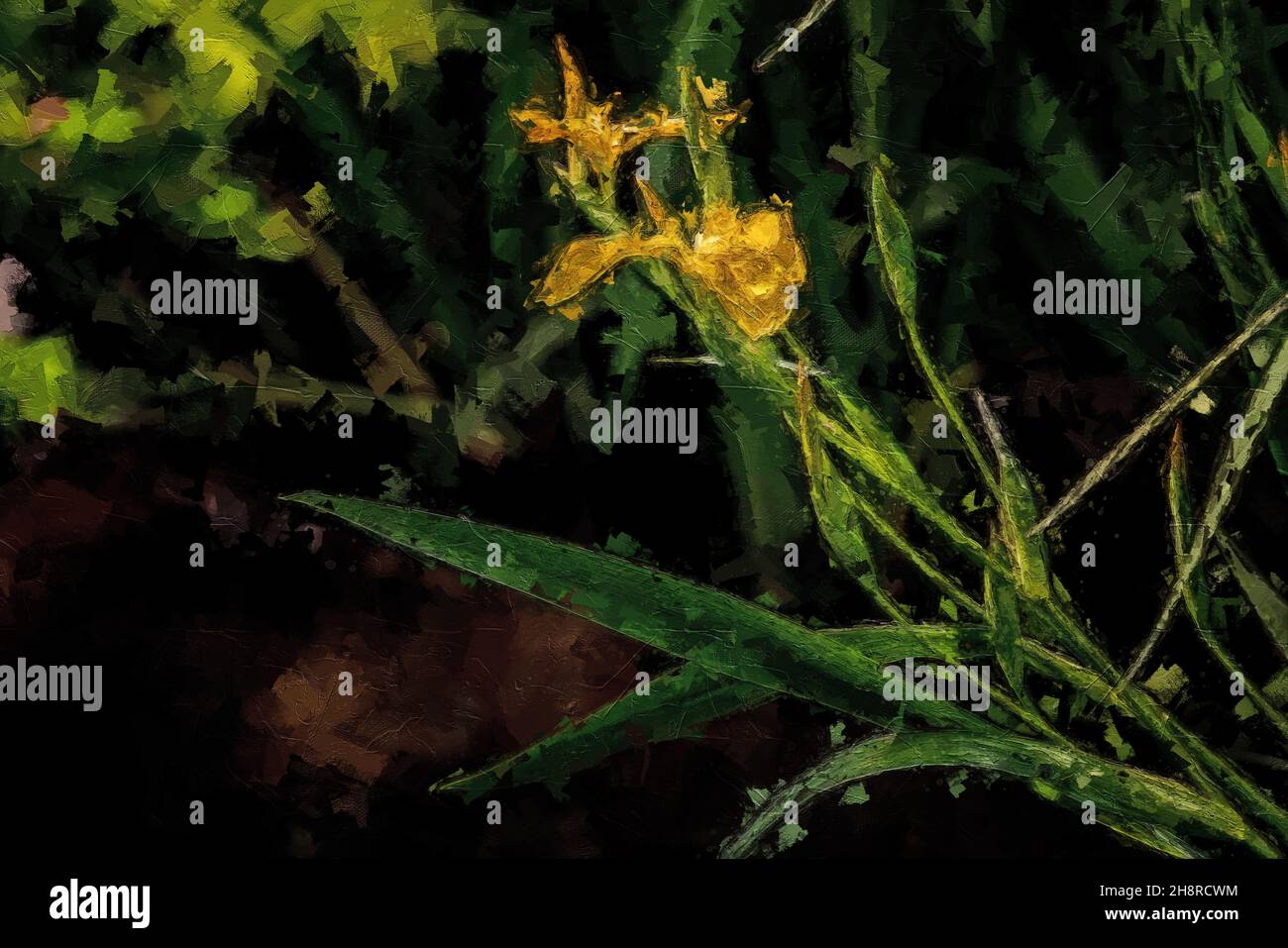 Fleur sauvage dans la réserve naturelle, iris Marsh, peinture de texture multicolore Banque D'Images