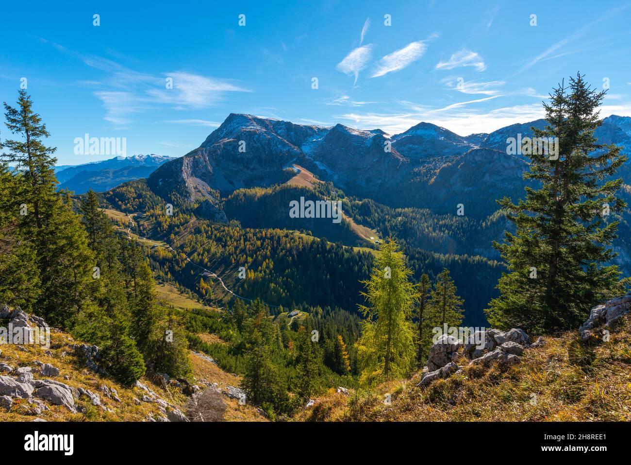 Vue sur et depuis le haut plateau de Jenner à environ 1800m asl, Alpes bavaroises, haute-Bavière, sud de l'Allemagne Banque D'Images