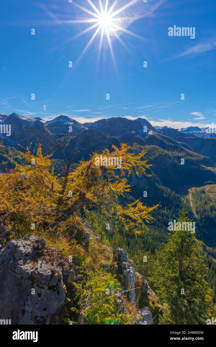 Vue sur et depuis le haut plateau de Jenner à environ 1800m asl, Alpes bavaroises, haute-Bavière, sud de l'Allemagne Banque D'Images