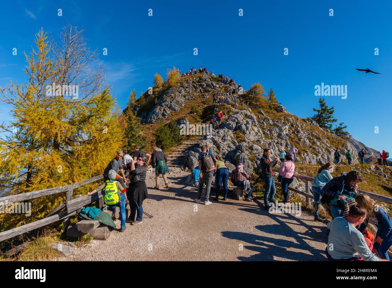 Vue de la plate-forme d'observation au sommet de Jenner environ 1800m asl, touristes sur le sentier étroit, Alpes bavaroises, haute-Bavière, sud de l'Allemagne Banque D'Images