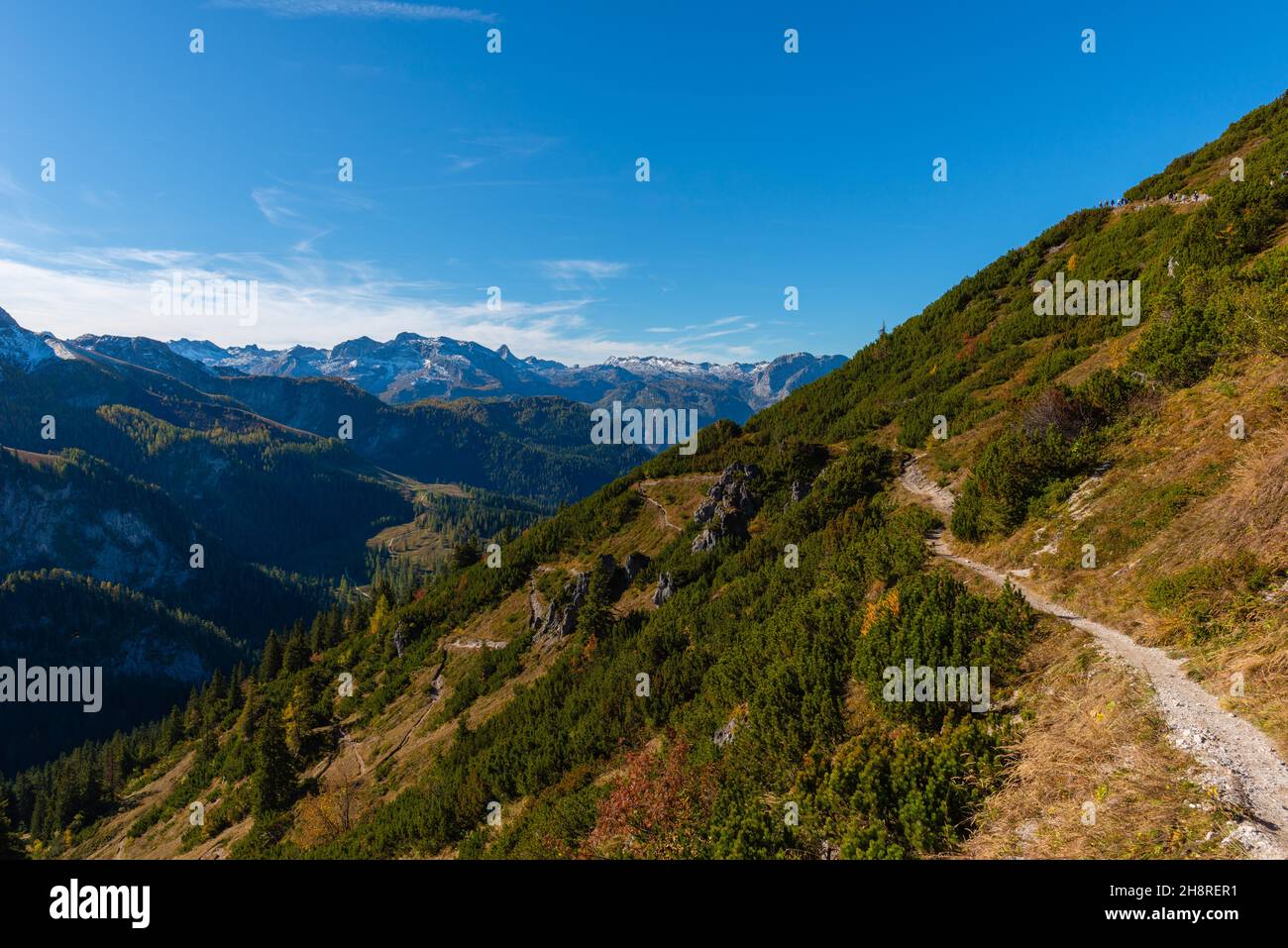 Vue sur et depuis le haut plateau de Jenner à environ 1800m asl, Alpes bavaroises, haute-Bavière, sud de l'Allemagne Banque D'Images