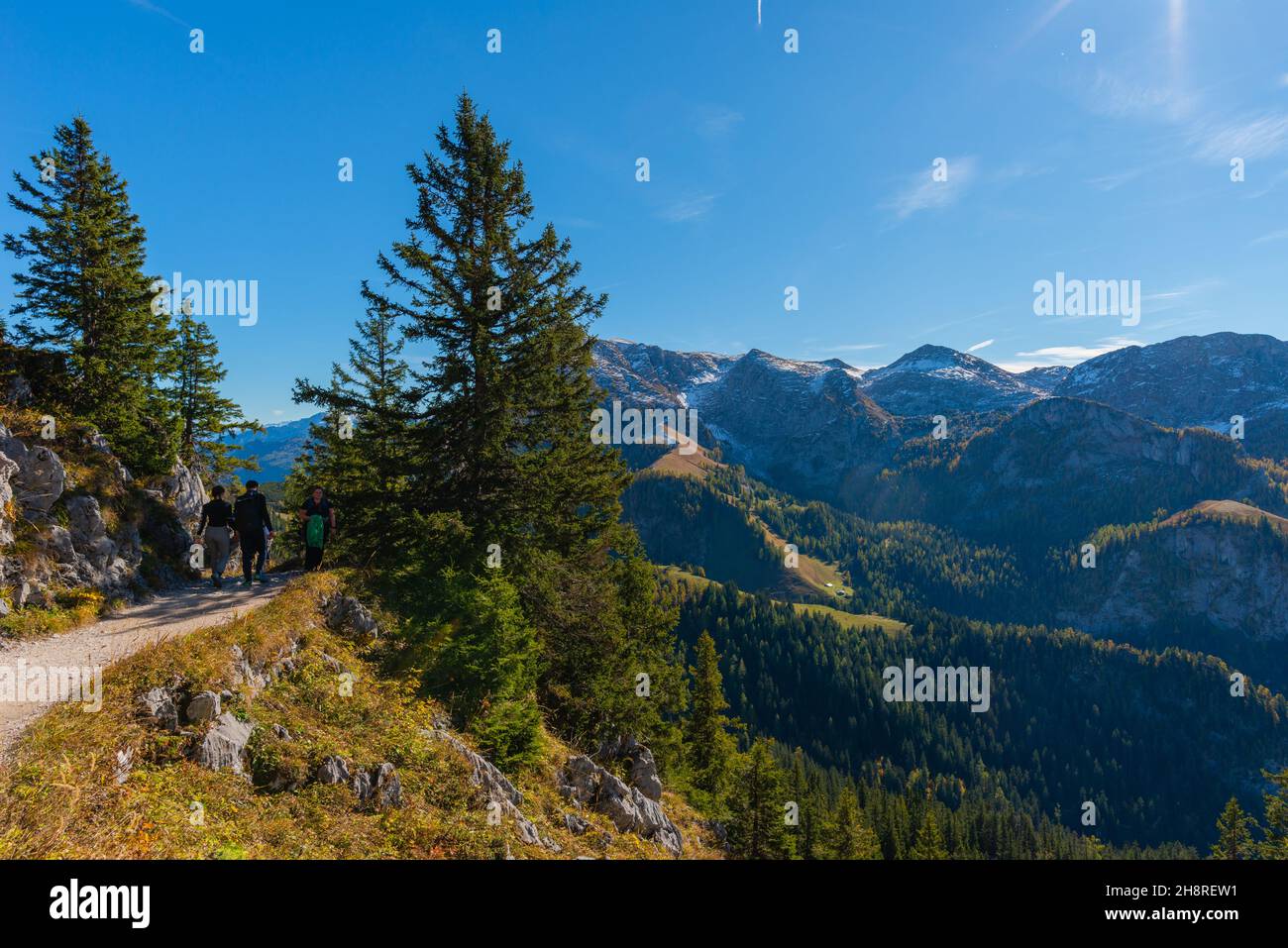 Vue sur et depuis le haut plateau de Jenner à environ 1800m asl, Alpes bavaroises, haute-Bavière, sud de l'Allemagne Banque D'Images