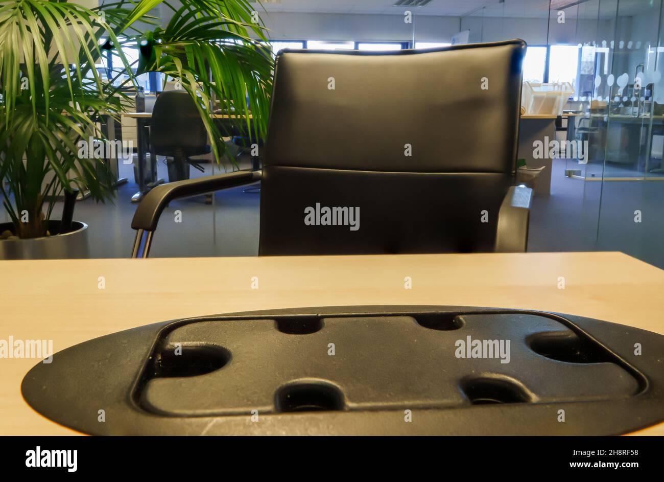 vue sur un bureau en plastique noir range câble de bureau dans un bureau en chêne clair vers une chaise de bureau noire et chromée, plante verte et bureau Banque D'Images