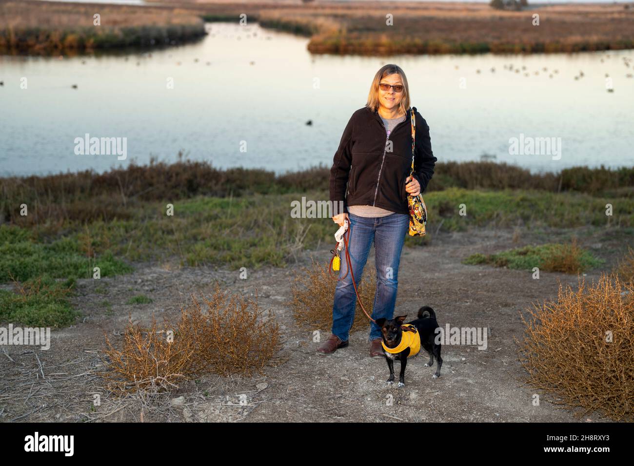 Femme d'âge moyen marchant petit chien dans les sentiers des marais au coucher du soleil Banque D'Images