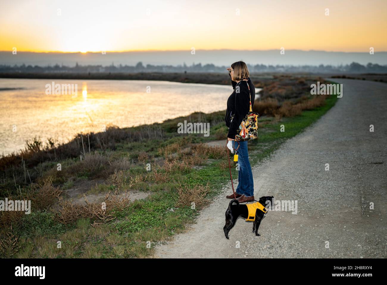 Femme d'âge moyen marchant petit chien dans les sentiers des marais au coucher du soleil Banque D'Images