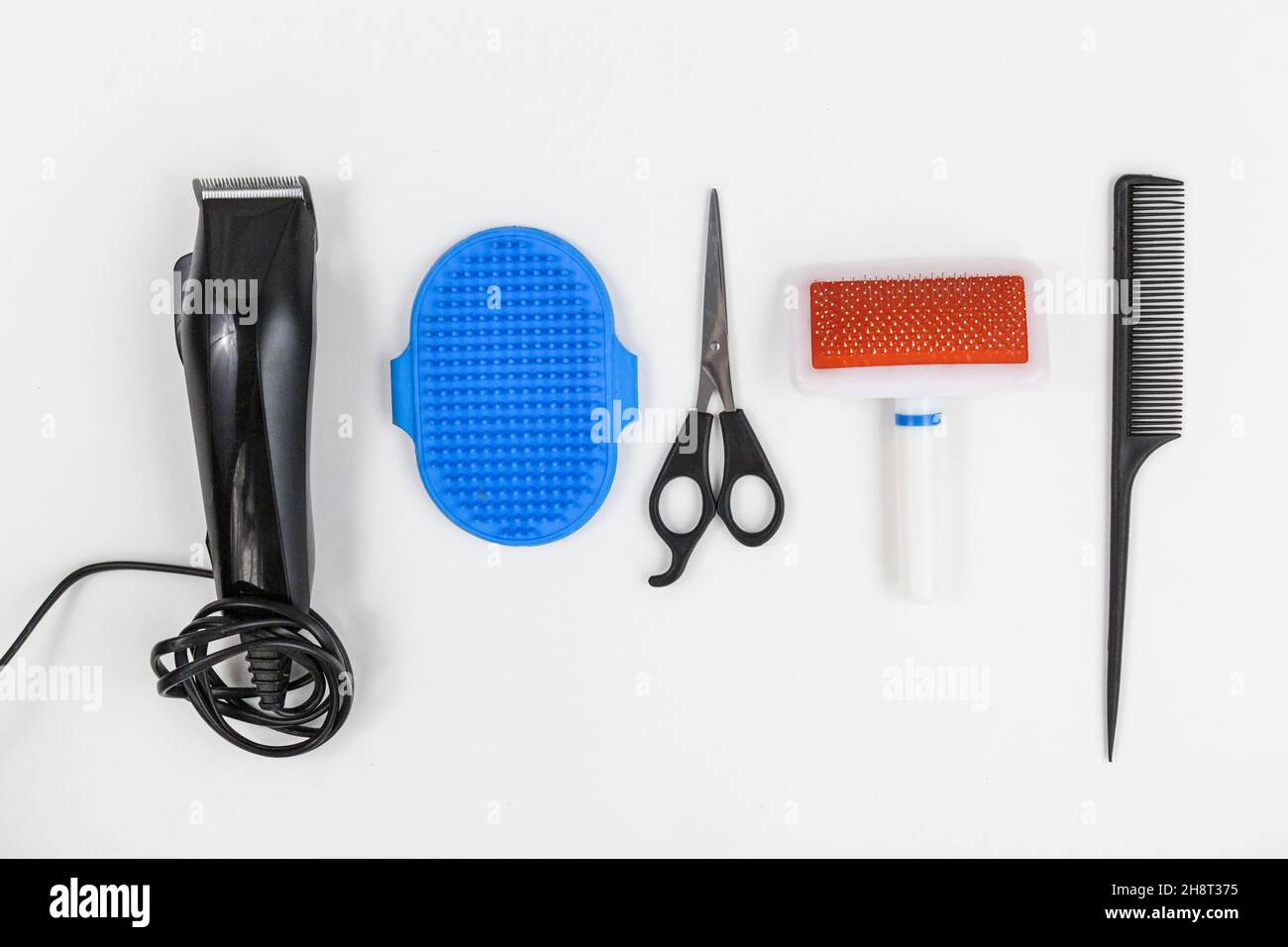 Kit pour le toilettage d'un chien - tondeuse à cheveux, ciseaux, sabots sur fond blanc.Gros plan des outils pour le toilettage des chats ou des chiens.Soins pour les animaux de compagnie Banque D'Images