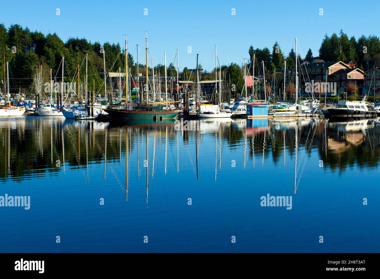 Bateaux commerciaux et de plaisance amarrés dans le port/port de plaisance d'Ucluelet, côte ouest de l'île de Vancouver, Colombie-Britannique, Canada, emmenés de la route menant à la station balnéaire de Waters Edge Banque D'Images