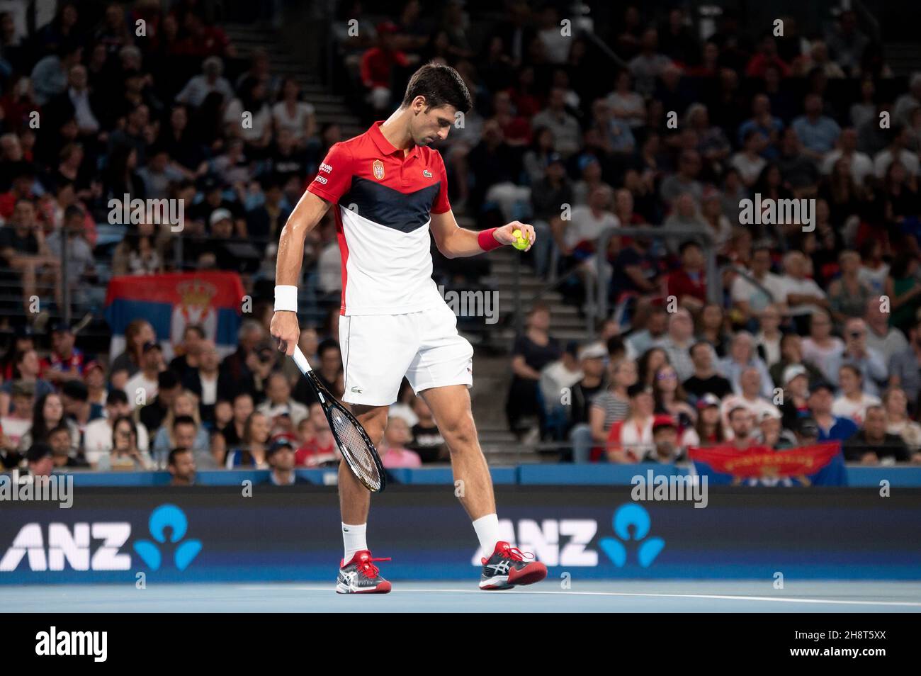 SYDNEY, AUSTRALIE - 12 JANVIER : Novak Djokovic de Serbie prêt à servir pendant le dixième jour de la finale des singles à la coupe ATP tennis 2020 à la Ken Rosewall Arena le 12 janvier 2020 à Sydney, en Australie. Banque D'Images