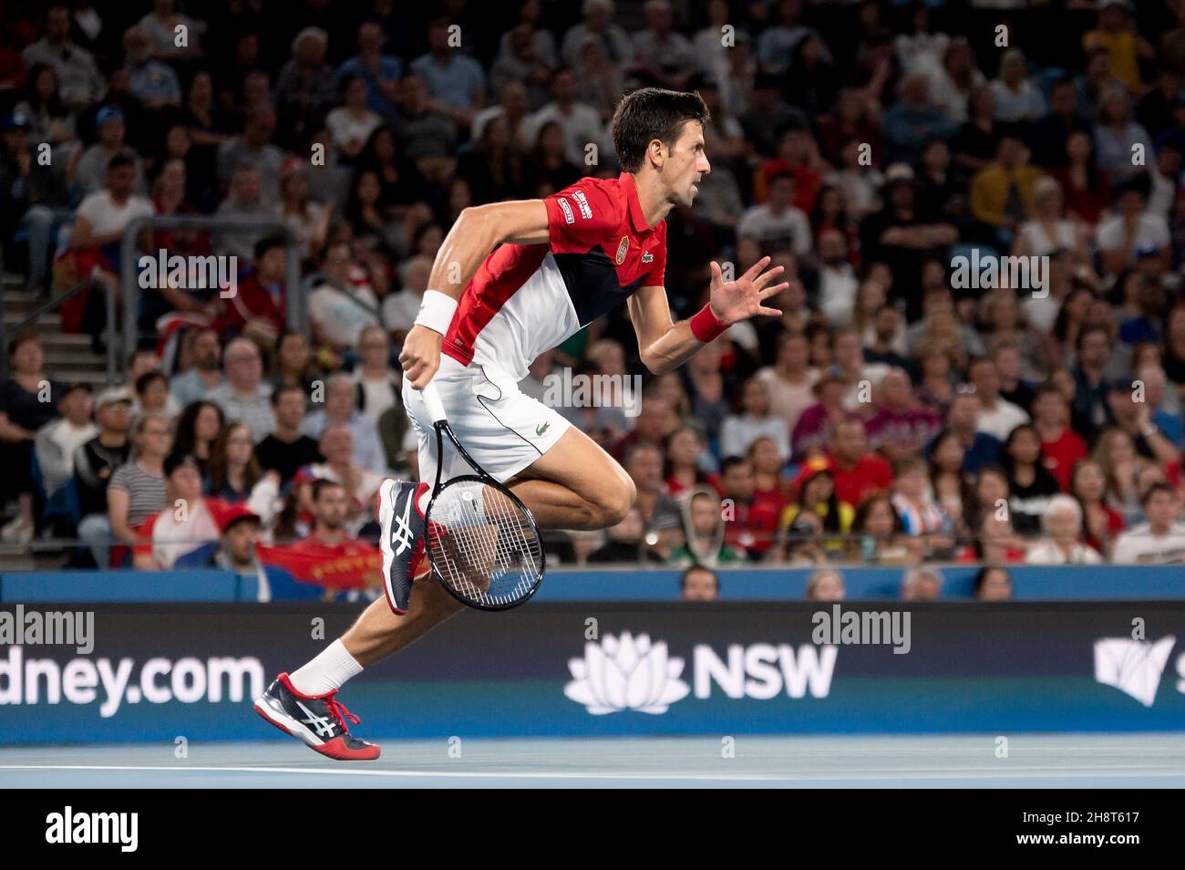 SYDNEY, AUSTRALIE - JANVIER 12 : Novak Djokovic de Serbie court sur le net au cours de la dixième journée de la finale des singles à la coupe ATP tennis 2020 à la Ken Rosewall Arena le 12 janvier 2020 à Sydney, en Australie. Banque D'Images