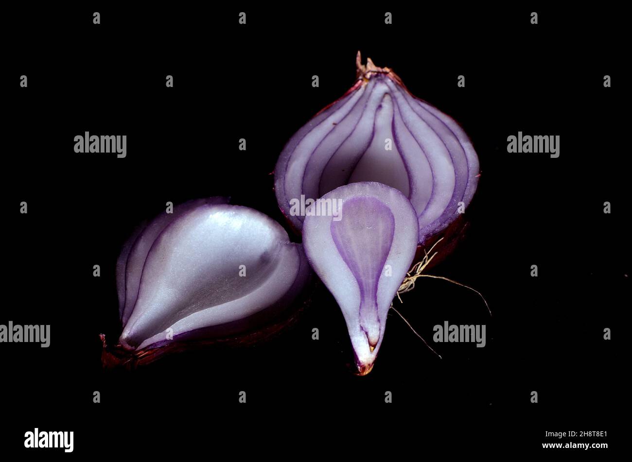 Il y a une variété de légumes, pomme de terre, gourde pointu, karela, oignon,Ail, gingembre, chou-fleur, chou Banque D'Images