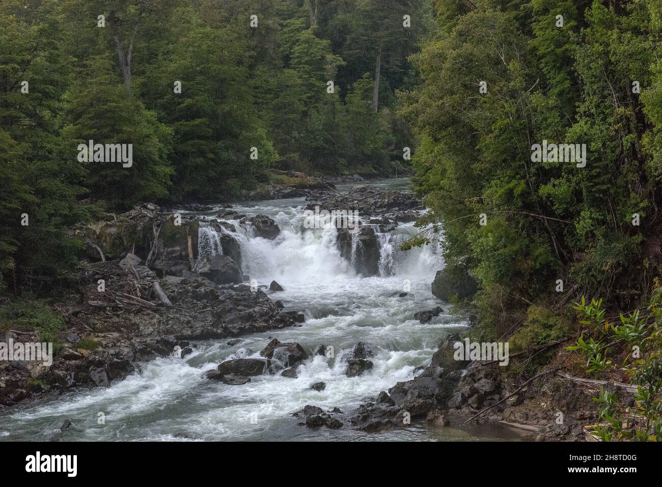 La cascade Salto los Novios dans le parc national de Puyehue, au Chili Banque D'Images