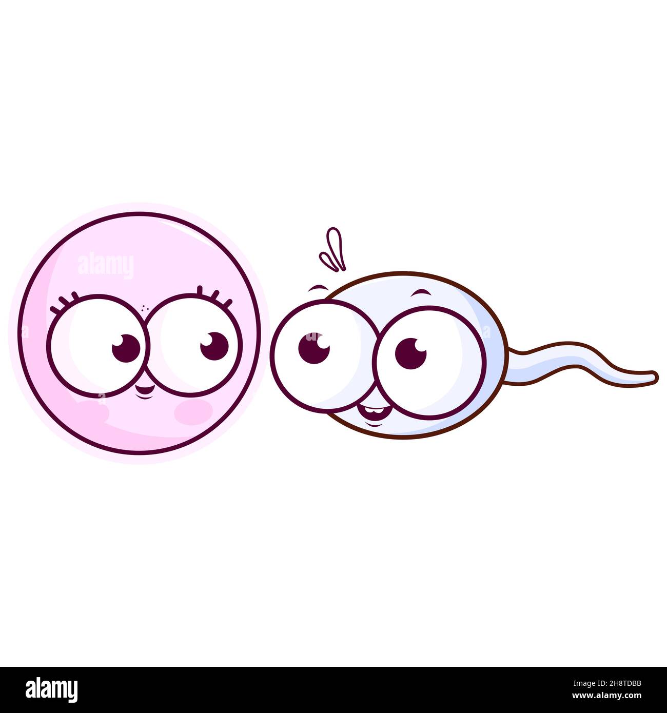 Ovules et spermatozoïdes humains.Illustration de dessin animé Banque D'Images