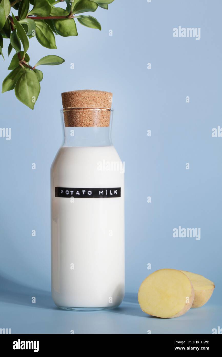 Lait de pomme de terre végétalien en bouteille avec des tranches de pommes de terre et plante verte sur fond bleu. Produit sans lactose.Nourriture végétarienne saine. Banque D'Images
