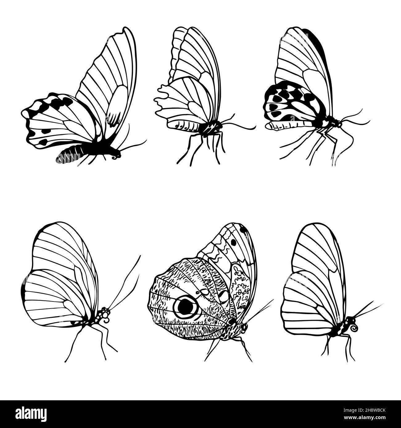 Ensemble de silhouettes de papillons à vue latérale, papillon de style monochrome pour tatouage, logo, illustration vectorielle de conception de carte Illustration de Vecteur