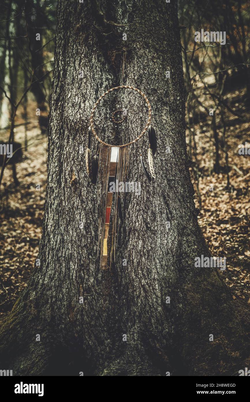 Dream Catcher sur fond naturel, amulette ethnique. Banque D'Images