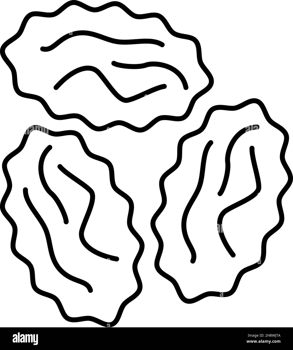 Contour vectoriel d'icône de fruits à raisins secs Illustration de Vecteur