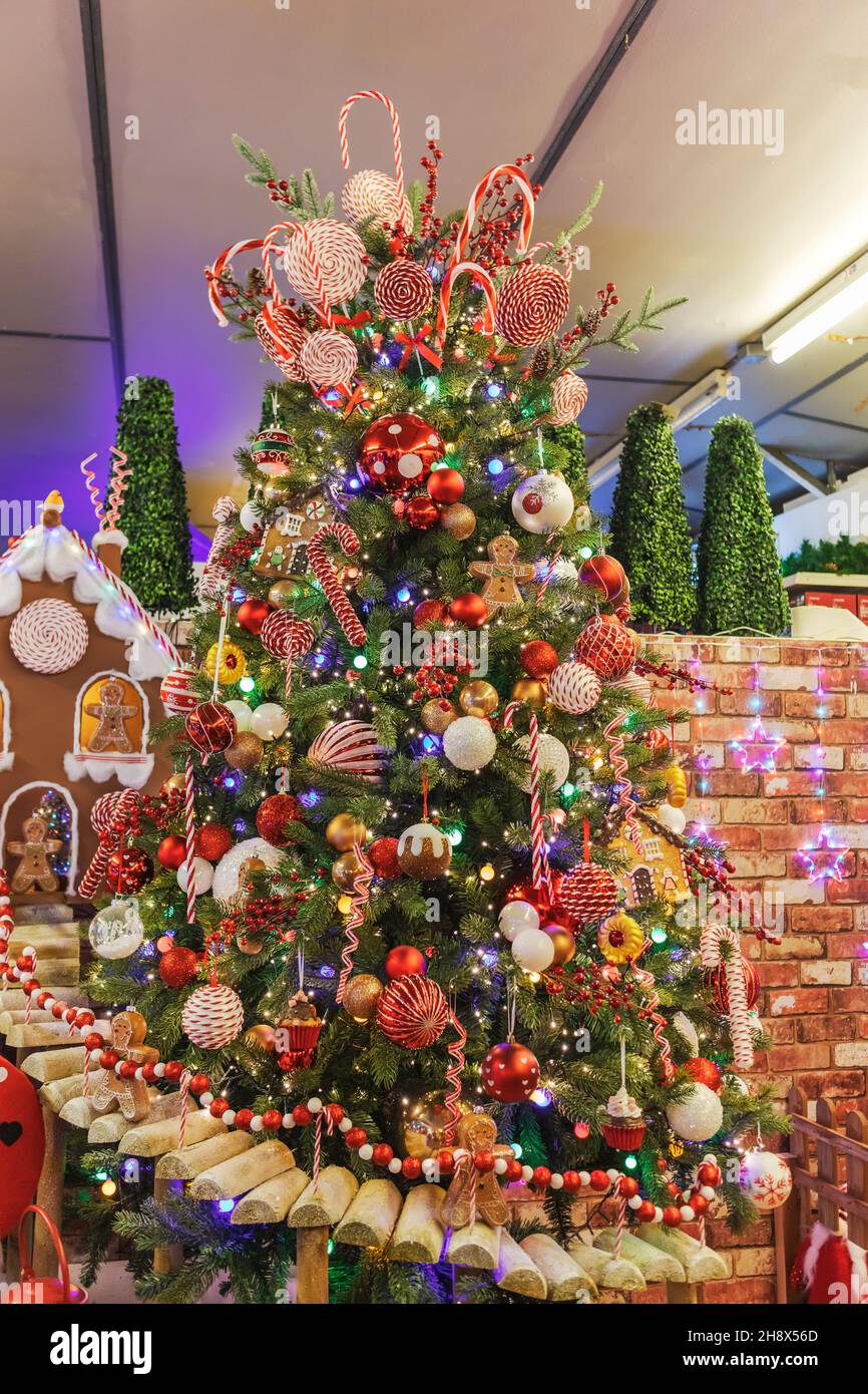 Pin décoré pour Noël avec des boules, des lumières, du pain d'épice et des bonbons. Banque D'Images