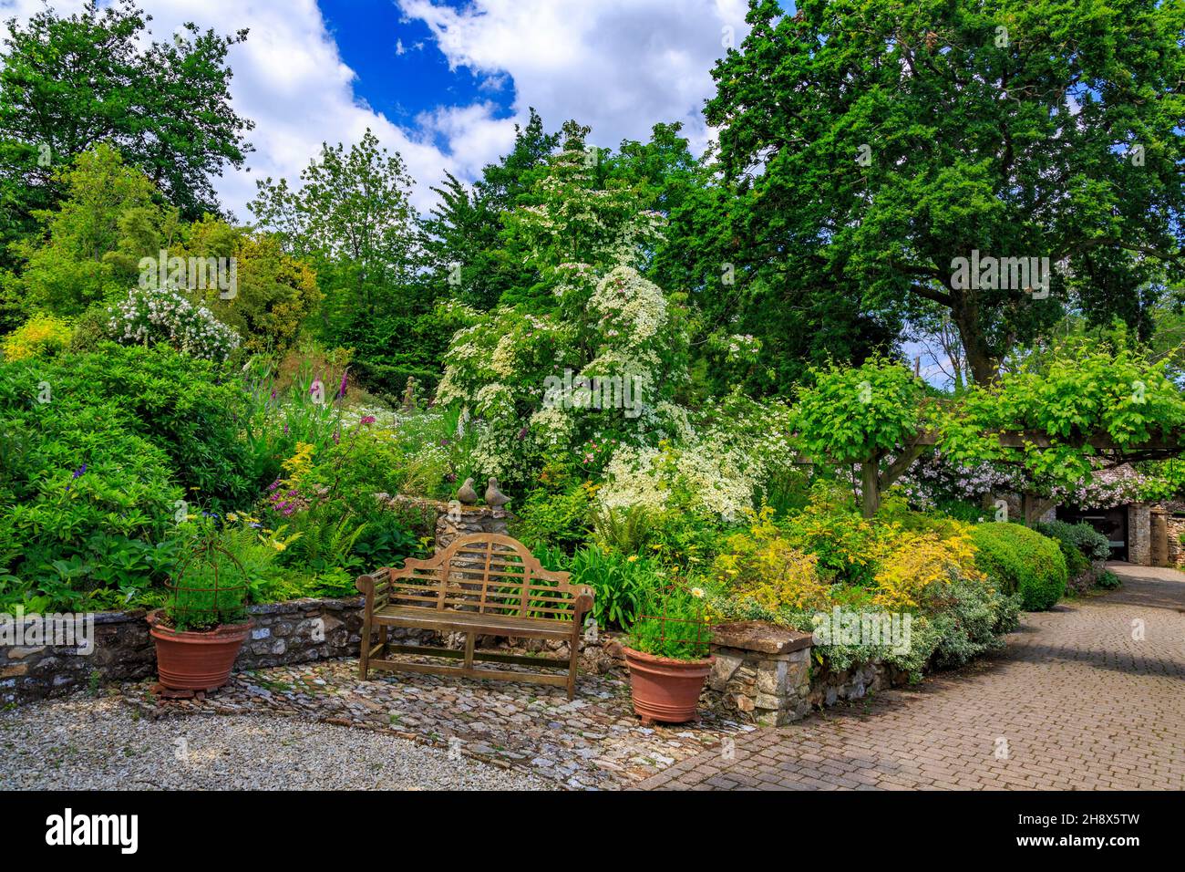 The Terrace Garden at Burrow Farm Garden – créé par Mary Benger depuis 1966 à Devon, Angleterre, Royaume-Uni Banque D'Images