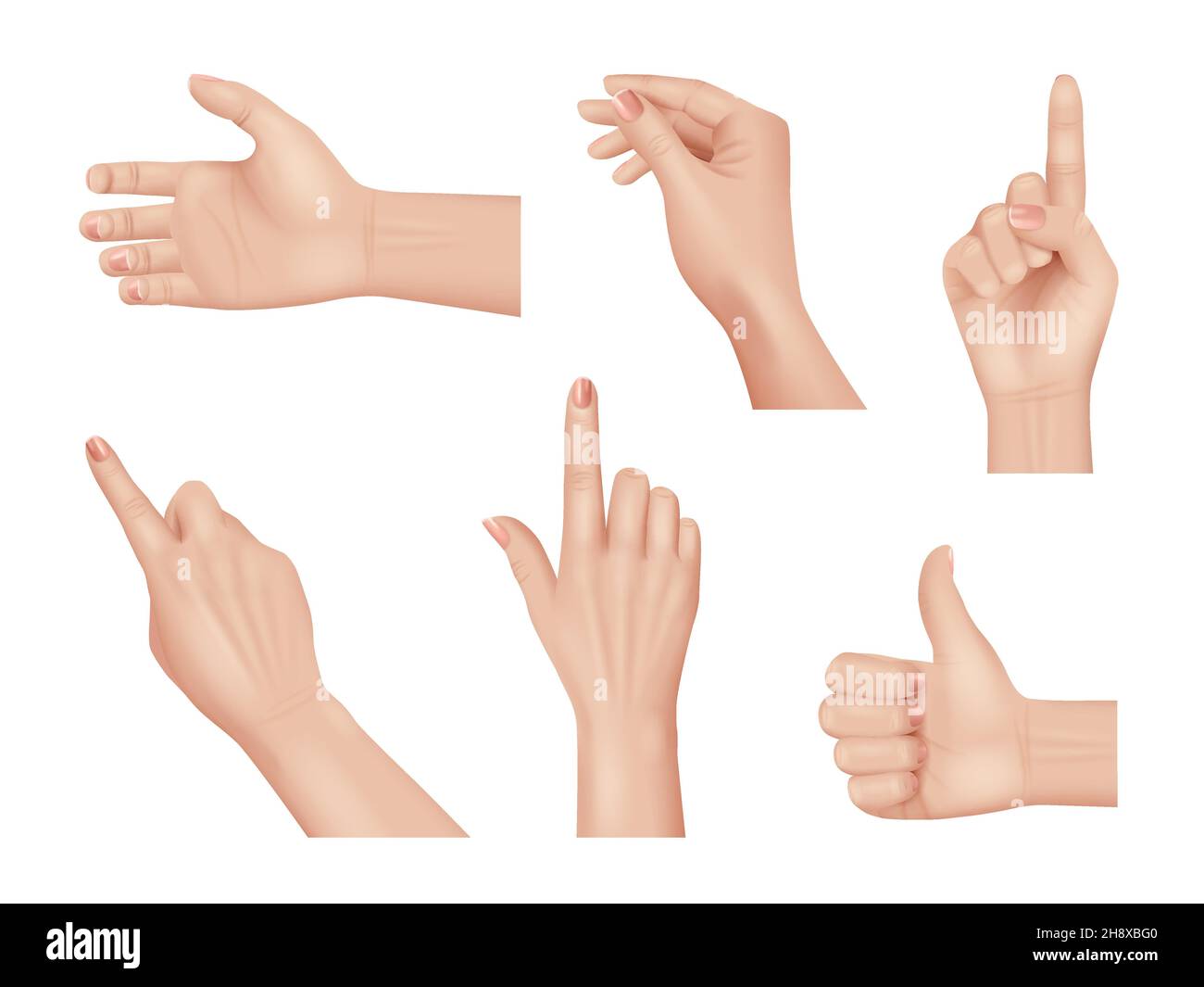 Mains gestes.Réalistes mains humaines anatomie parties du corps paume et doigts décents vecteur mains collection isolée Illustration de Vecteur