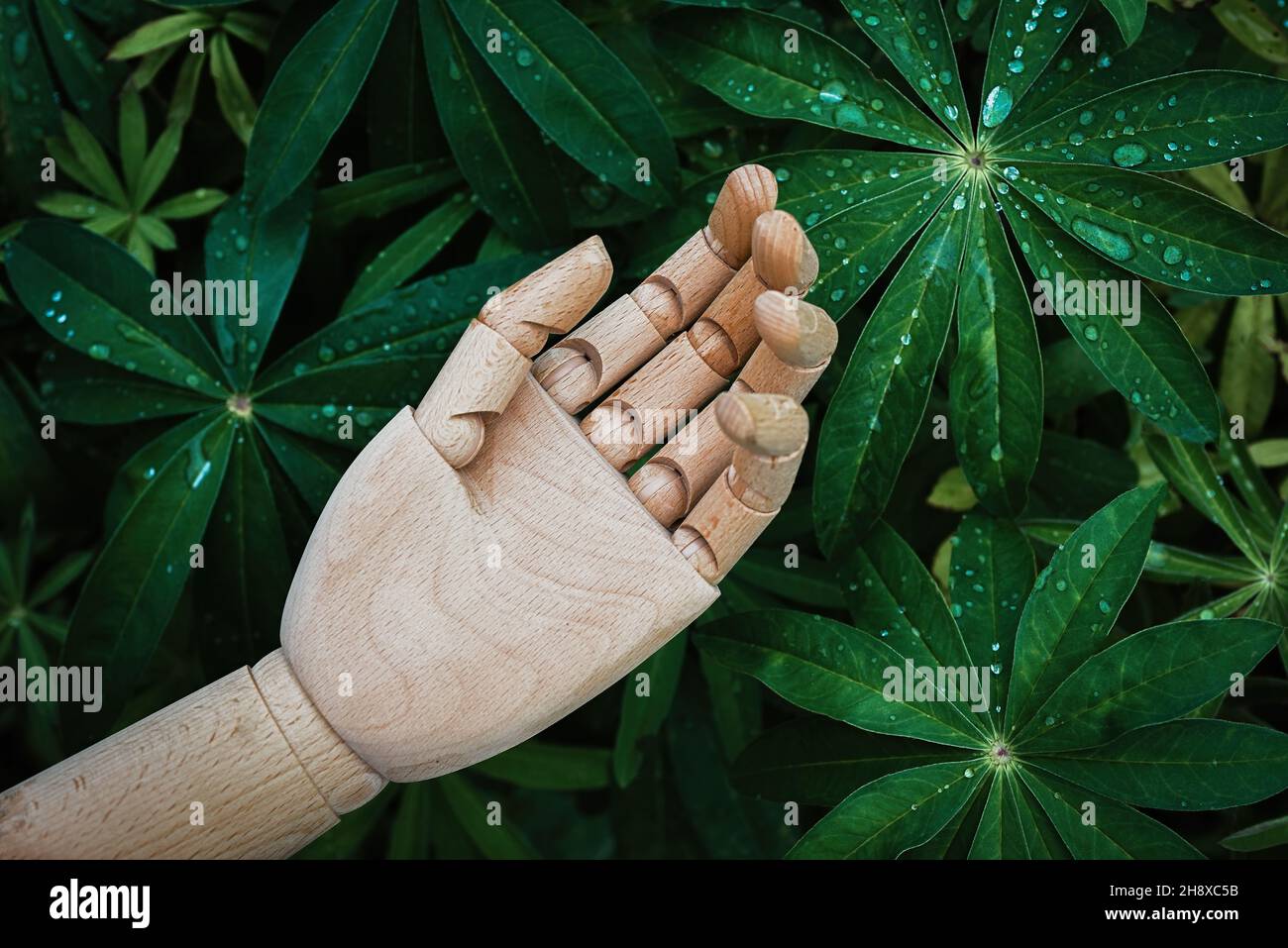 La main en bois atteint le fond de plantes vertes naturelles Banque D'Images