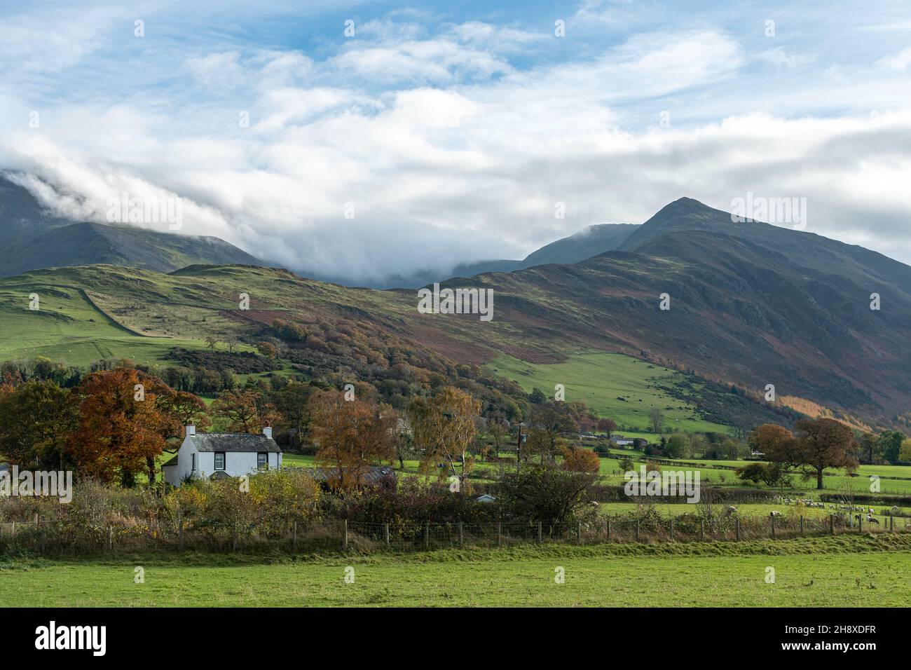 Vue d'automne sur les coquillages et un chalet près de Bassenthwaite dans le parc national de Lake District, Cumbria, Angleterre, Royaume-Uni, pendant l'automne ou novembre Banque D'Images