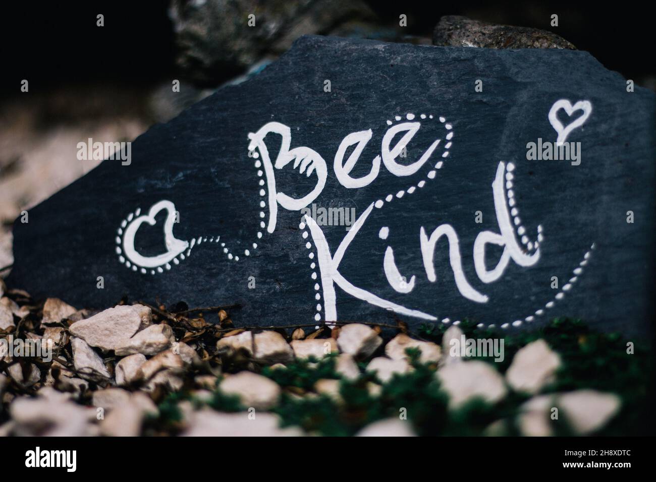 Genre abeille - ardoise Banque D'Images