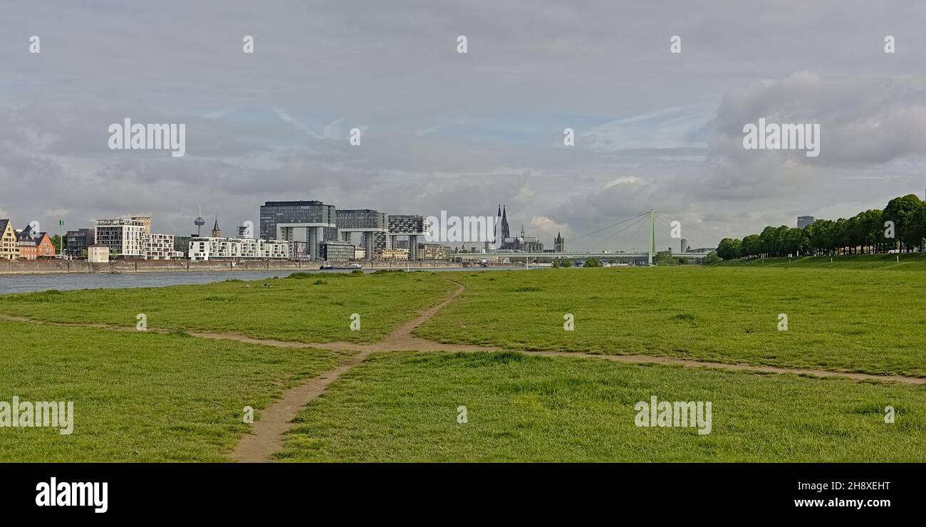 Prairie avec sentier de randonnée dans le parc Poller Wiesen le long du Rhin avec des bâtiments Kranhaus, de l'autre côté Cologne, Allemagne. Banque D'Images