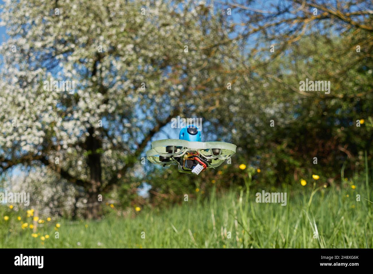 Petit drone bleu avec barre de protection blanche, passe en toute sécurité sur le champ de coupe de beurre, derrière lui un véritable arbre de noyer et de pommerNuertingen, Allemagne Banque D'Images