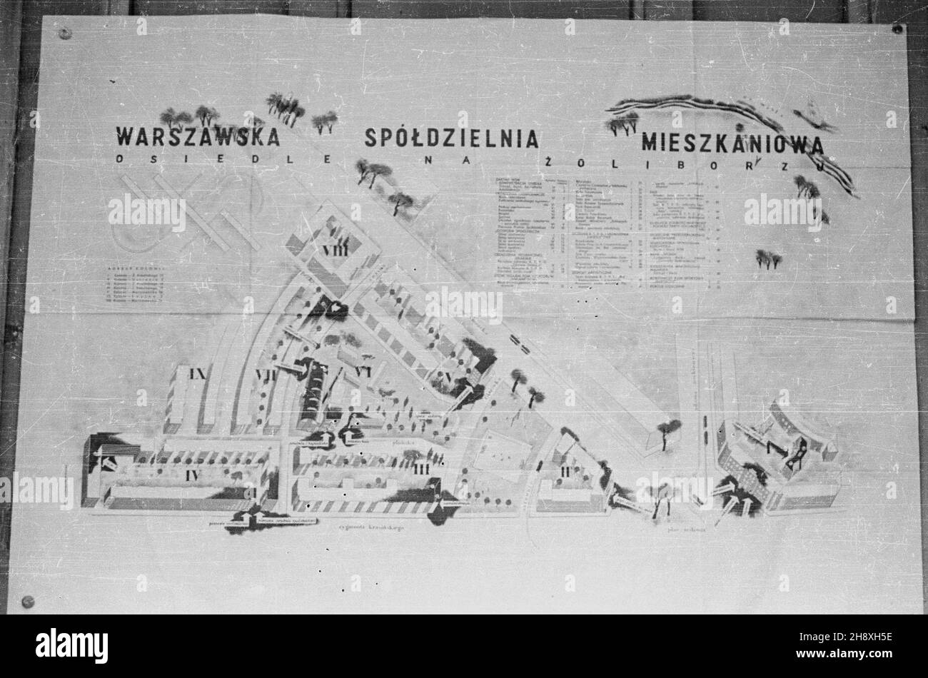 Varsovie, 1946.W dzielnicy ¯oliborz powstaje nowe osiedle Warszawskiej Spó³dzielni Mieszkaniowej (WSM).NZ. Plansza prezentuj¹ca projekt osiedla. pp PAPVarsovie, 1946.Une nouvelle colonie de logements est en cours de construction par la Coopérative de logement de Varsovie dans le district de Zoliborz.Photo : un conseil présentant le plan de la succession. pp PAP Banque D'Images