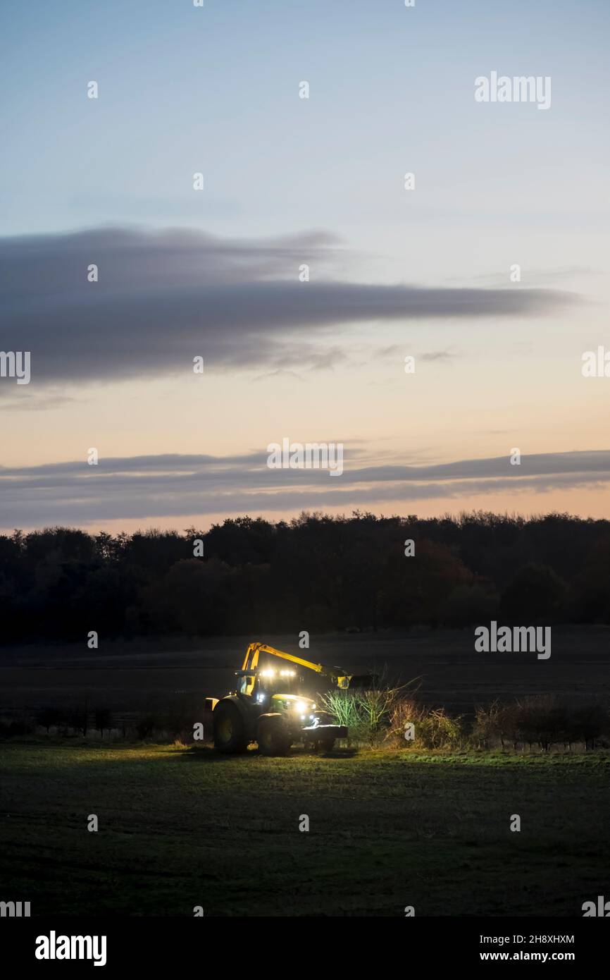 Taille de haies sous les projecteurs d'une ferme de Norfolk.Tard dans l'après-midi d'hiver. Banque D'Images