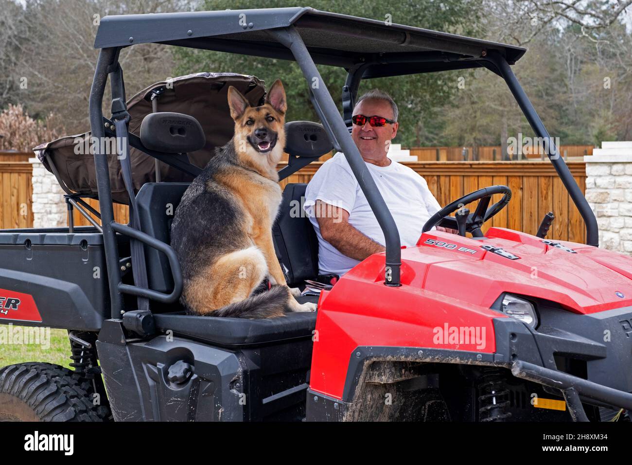 Homme avec chien de berger allemand dans Polaris Ranger 500 EFI utilitaire task véhicule / UTV, Etats-Unis / Etats-Unis Banque D'Images