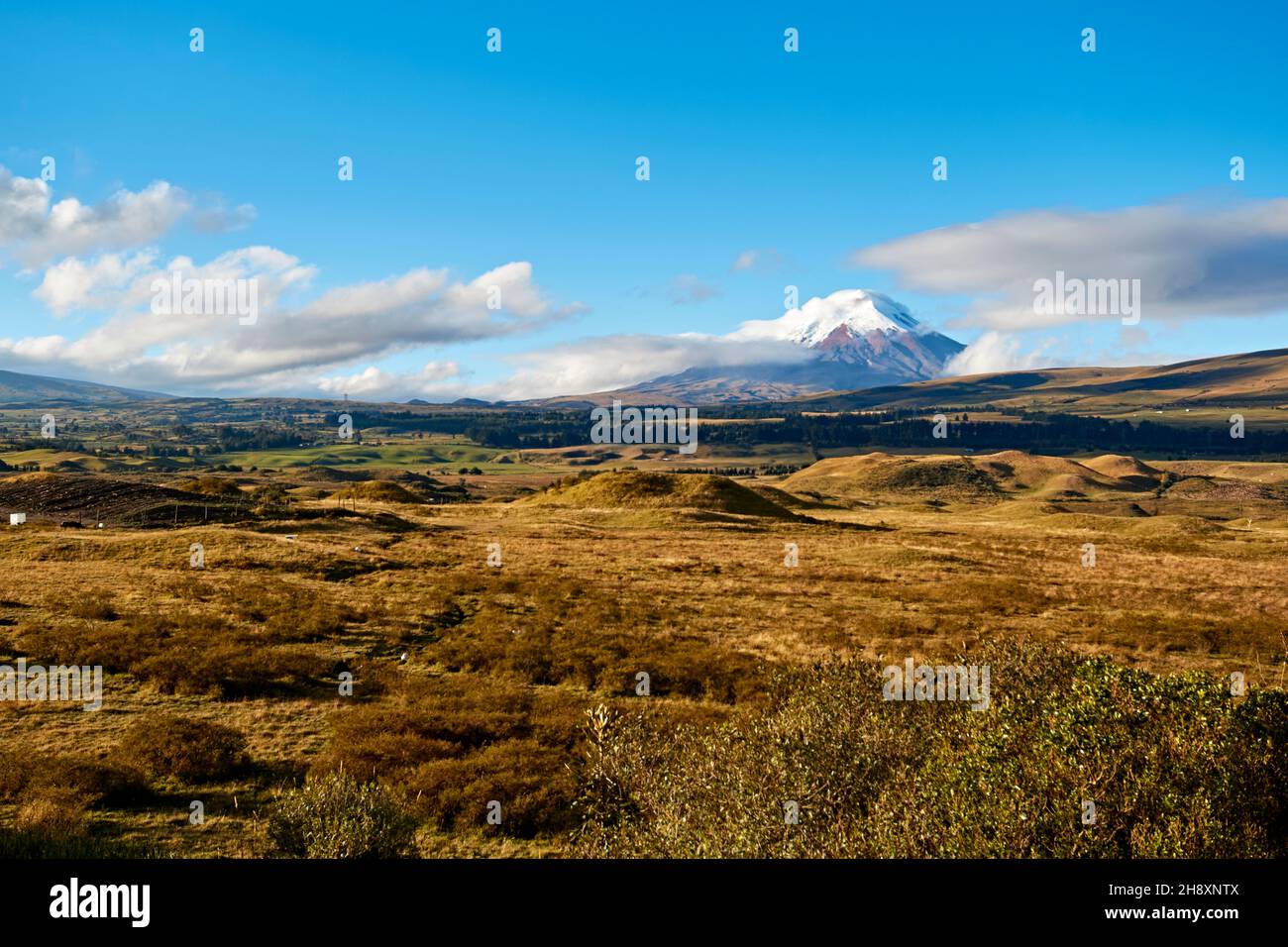 Paysage des Andes, paysage froid Cotopaxi Equateur Banque D'Images