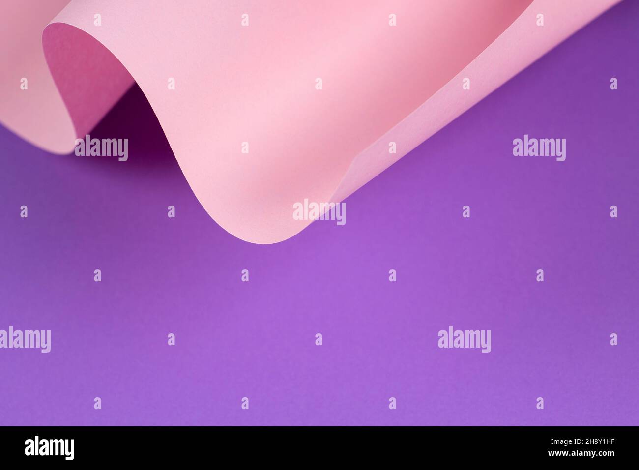 Vague abstraite de papier rose pastel et violet.Papier courbe géométrique créatif avec lumière et ombres.Arrière-plan de géométrie abstraite avec espace de copie Banque D'Images