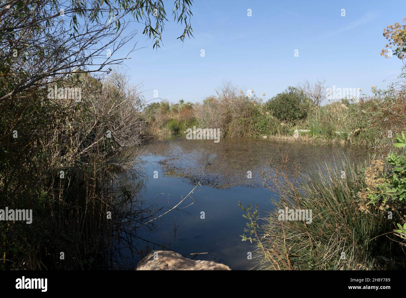 Tel Afek, réserve naturelle en Israël Banque D'Images