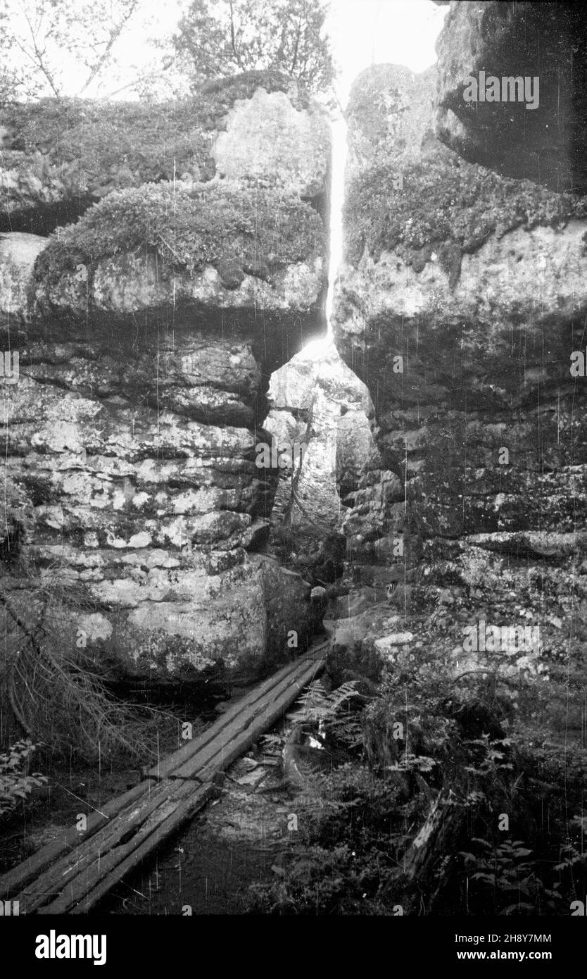 Polska, 1946-07-12.B³êdne Ska³y – zespó³ bloków skalnych tworz¹cy labirynt typu miasto skalne, po³o¿ony W Górach Sto³owych i obejmuj¹cy szczyt Skalniaka (915 m n.p.m.).Obszar maj¹cy powierzchniê ok.21 ha de jest rezerwatem przyrody.Sam rezerwat po³o¿ony jest na wysokoœci 852 m n.pmDawniej B³êdne Ska³y nazywane by³y Wilczymi Do³ami (od przedwojennej nazwy niemieckiej). ps/ms PAP/Stanis³aw UrbanowiczPologne, le 12 juillet 1946.The Roaming Rocks, une formation rocheuse semblable à un labyrinthe, parfois appelée « métropole rocheuse » dans les montagnes de la Table en Pologne avec le sommet de Skalniak (915 M. a. s. l.).Le 2 Banque D'Images