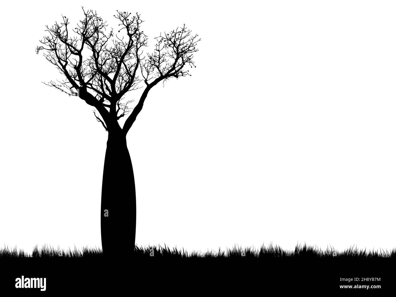 silhouette d'arbre de boab avec fond blanc arbre inhabituel trouvé en Australie occidentale Illustration de Vecteur