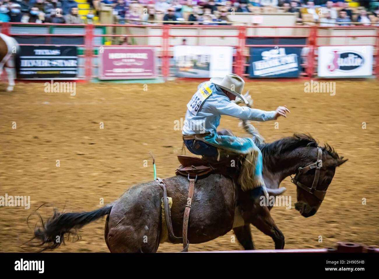 Fort Worth, 27 2021 NOVEMBRE, compétition de pilotage de Saddle bronc et de Bareback bronc dans le Stockyards Championship Rodeo Banque D'Images