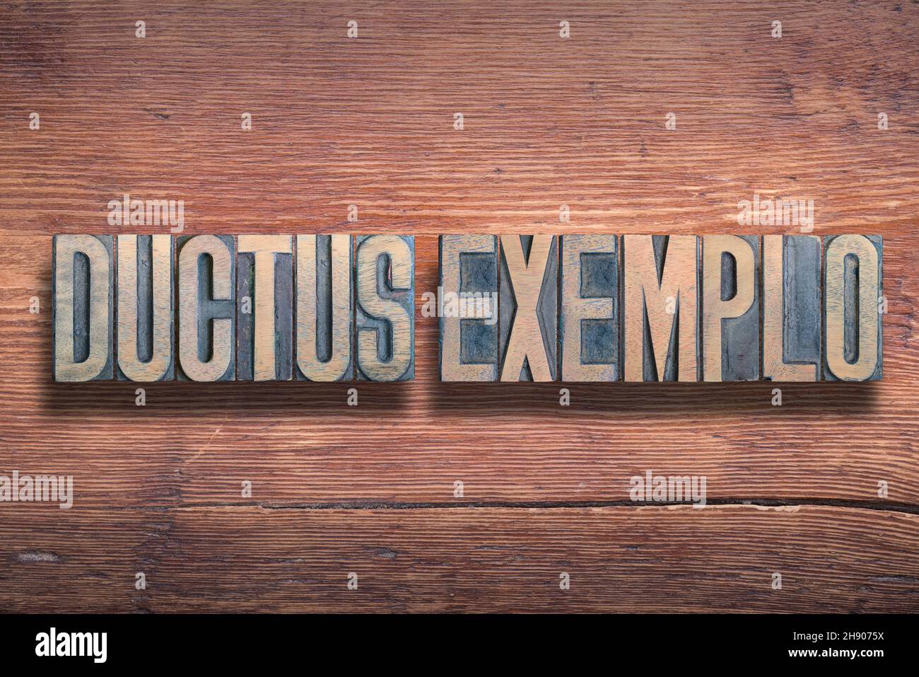 Ductus Exemplo (plomb par exemple) expression latine combinée sur une surface en bois verni vintage Banque D'Images