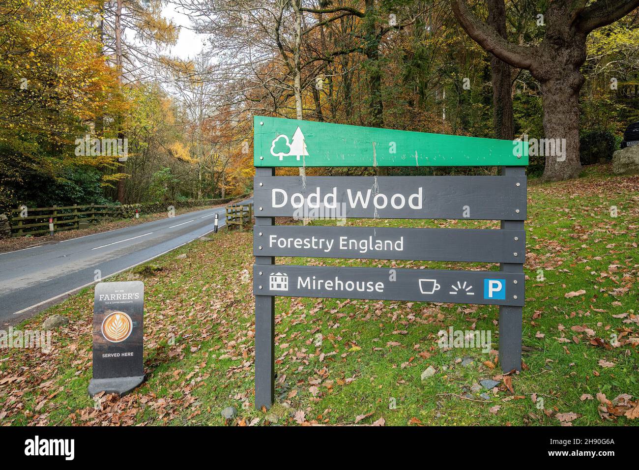Dodd Wood, Forestry England signe dans le Lake District National Park à Cumbria, Angleterre, Royaume-Uni, pendant l'automne ou novembre Banque D'Images
