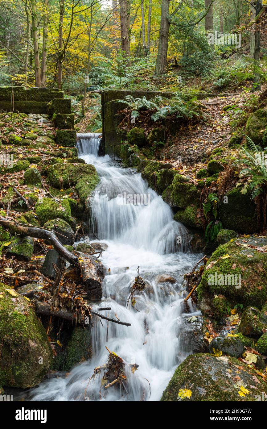 Chute d'eau à Dodd Wood dans le parc national Lake District à Cumbria, Angleterre, Royaume-Uni, en automne ou novembre Banque D'Images
