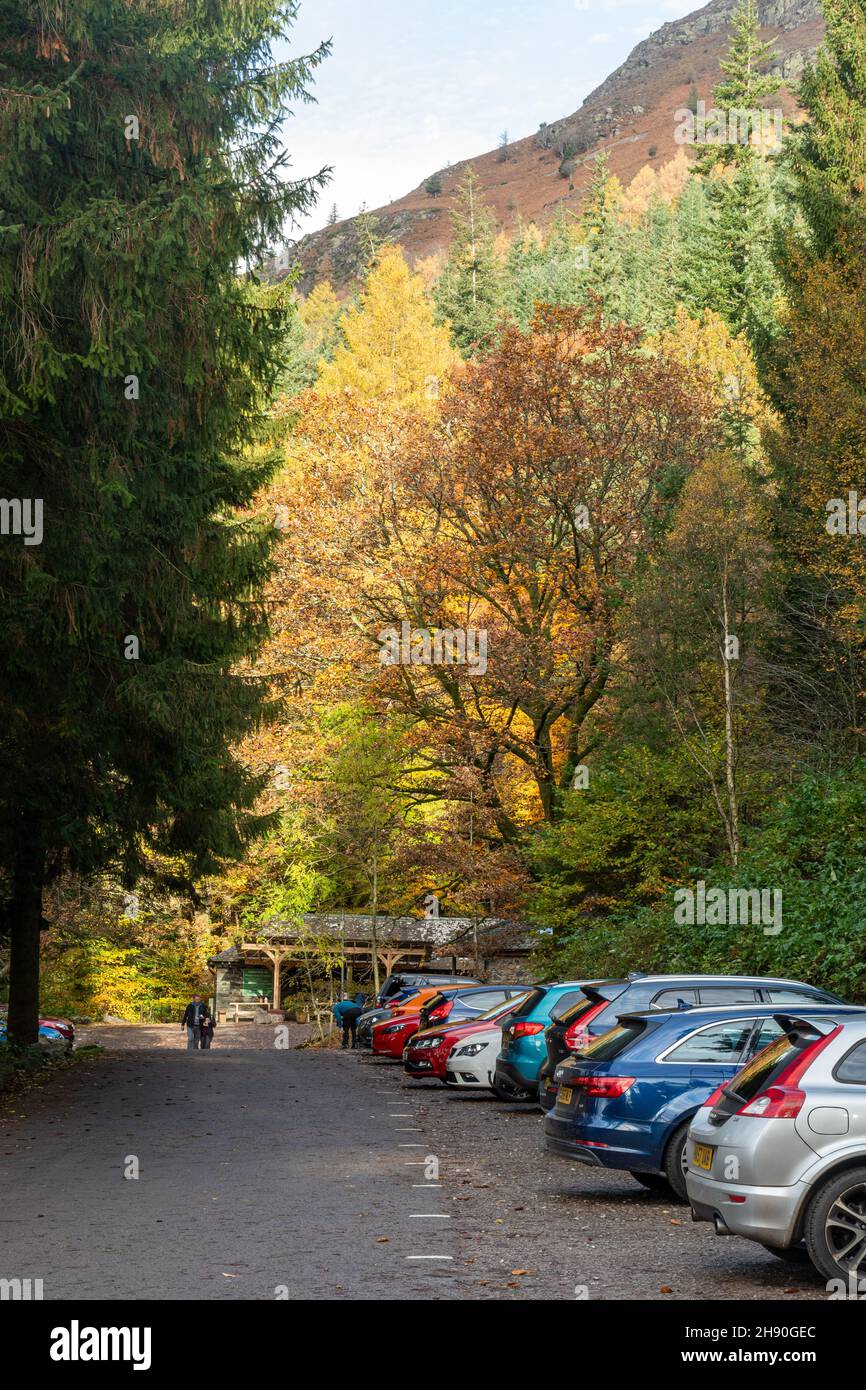 Parking visiteurs à Dodd Wood près du lac Bassenthwaite à Cumbria, Angleterre, Royaume-Uni, en automne ou en novembre Banque D'Images