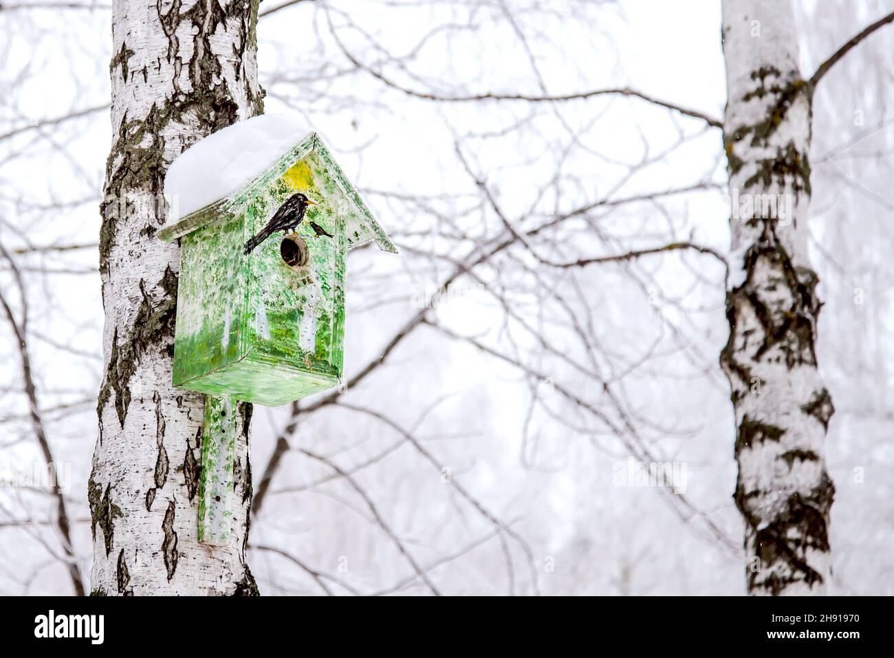 Maison d'oiseaux en bois vert sur un arbre dans un parc d'hiver Banque D'Images